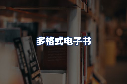 多格式电子书